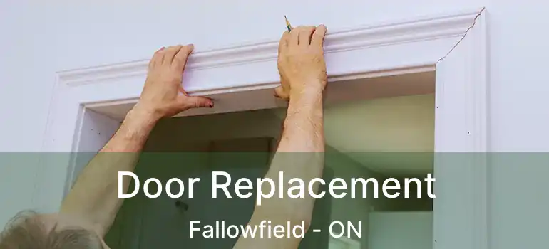  Door Replacement Fallowfield - ON