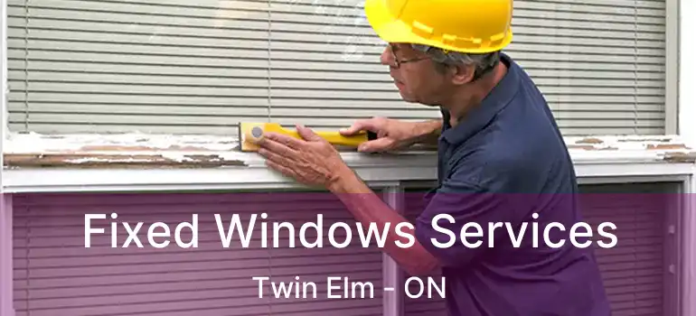  Fixed Windows Services Twin Elm - ON