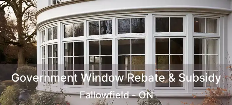  Government Window Rebate & Subsidy Fallowfield - ON