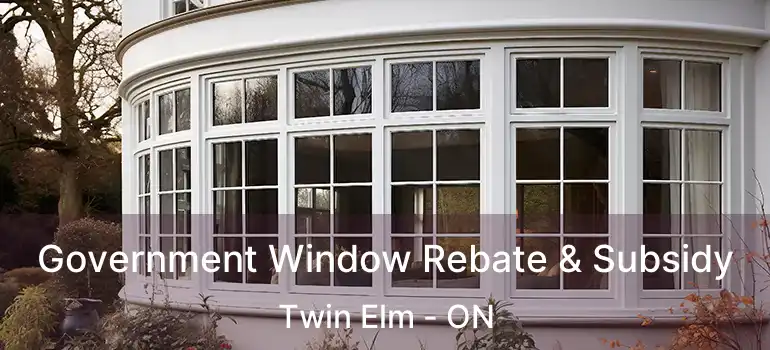  Government Window Rebate & Subsidy Twin Elm - ON