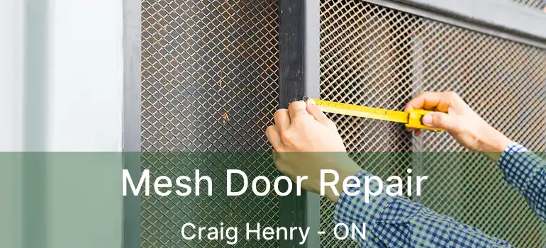  Mesh Door Repair Craig Henry - ON