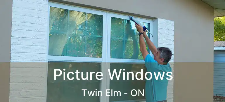  Picture Windows Twin Elm - ON