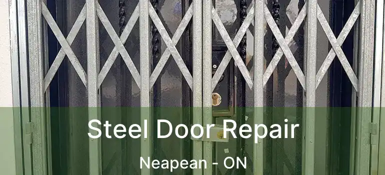  Steel Door Repair Neapean - ON