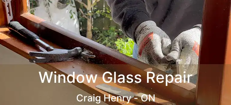  Window Glass Repair Craig Henry - ON