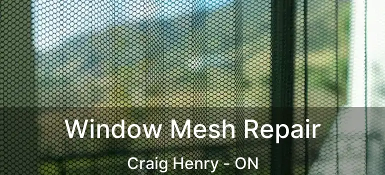  Window Mesh Repair Craig Henry - ON