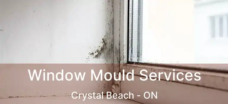  Window Mould Services Crystal Beach - ON