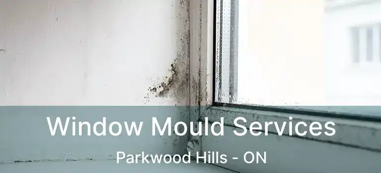  Window Mould Services Parkwood Hills - ON