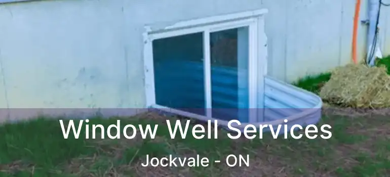  Window Well Services Jockvale - ON